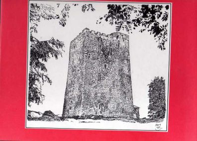 The Castles Of Cork - James N. Healy