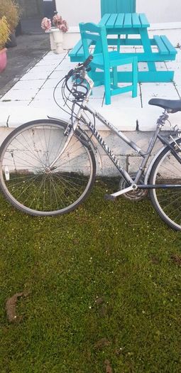 2 bikes for sale, need work