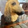 Vintage 20th Century Afghan Hound Chalkware Bust Legend Products Image 8