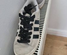 Trainers
