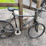3 bikes Image 2