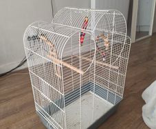 bird cages