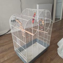 bird cages