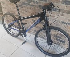 Teenager mountain bike