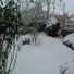 goretti c