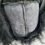 genuine sheepskin collar Image 3