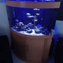 Fish tank Image 6