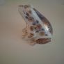 Imari frog porcelain from Japan Image 3