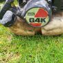 strimmer Image 3