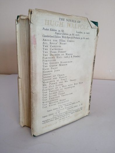 The Joyful Delaneys: A Novel by Hugh Walpole (HQ157)