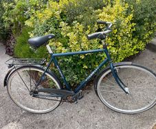 gents Hybrid