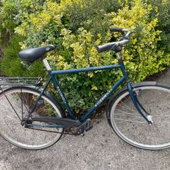 gents Hybrid