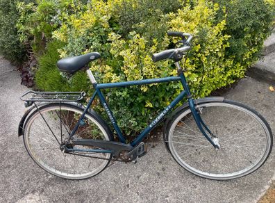 gents Hybrid