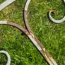 garden loungers Image 3
