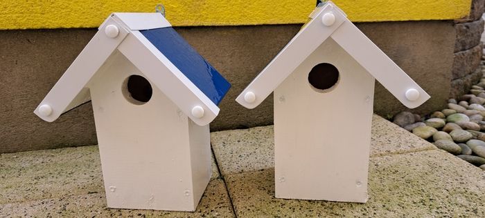 Bird Nesting Boxes