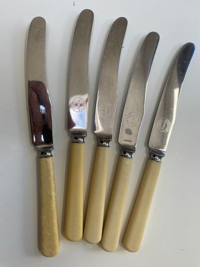 Set of 5 bone handle cake knives
