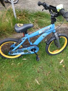 Childs Bike 4