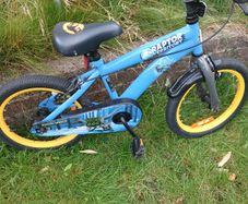 Childs Bike 4