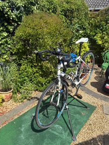 mens bike