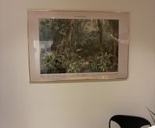 Tropical Picture Frame 130cm in diameter