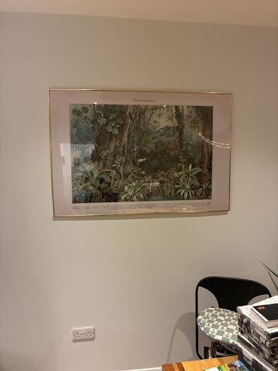 Tropical Picture Frame 130cm in diameter