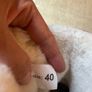 Ugg boots with bows Image 4