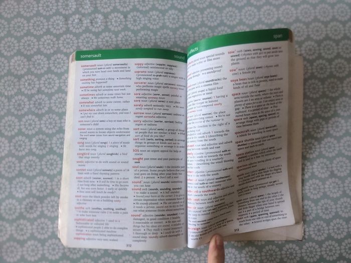 Fallon's Oxford Childrens Dictionary