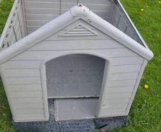 dog kennel
