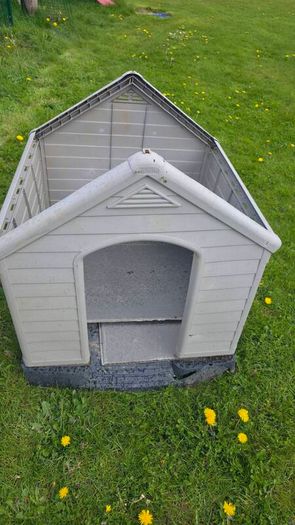 dog kennel