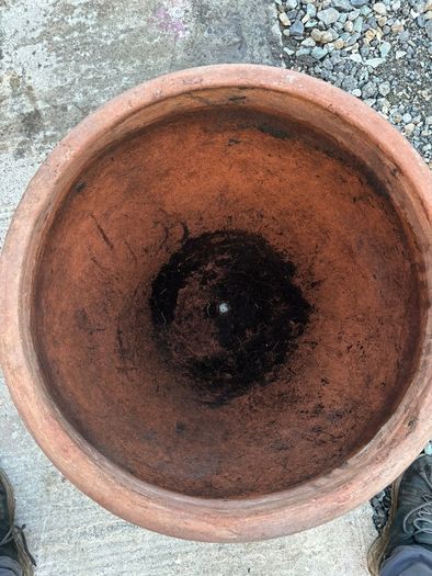 Flower Pot