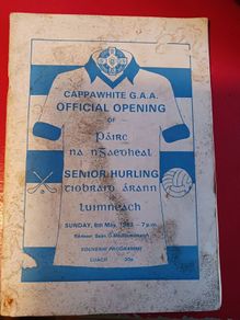 Hurling programme / 1983