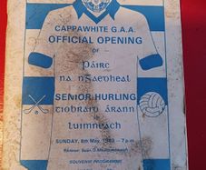 Hurling programme / 1983