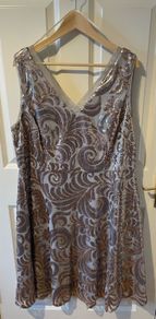 Worn once Occasion dress. Size 20.