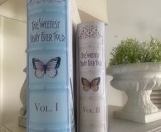ShabbyChic Storage Book Effect Set of 2Large