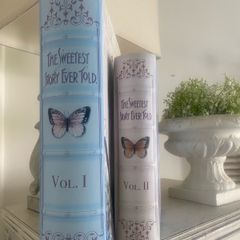 ShabbyChic Storage Book Effect Set of 2Large
