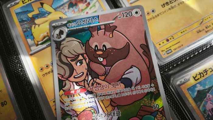 Arven's Greedent ! Illustration Rare ! from Heat Wave Arena Set ! 2025 ! Korean Pokemon Card !