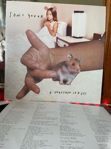 Sonic Youth - A Thousand Leaves