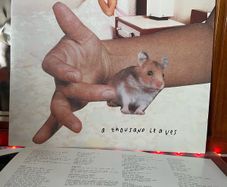Sonic Youth - A Thousand Leaves