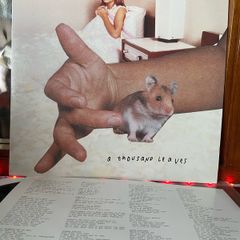 Sonic Youth - A Thousand Leaves