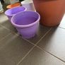 6 plant pots 3 ceramic and 3 plastic Image 7