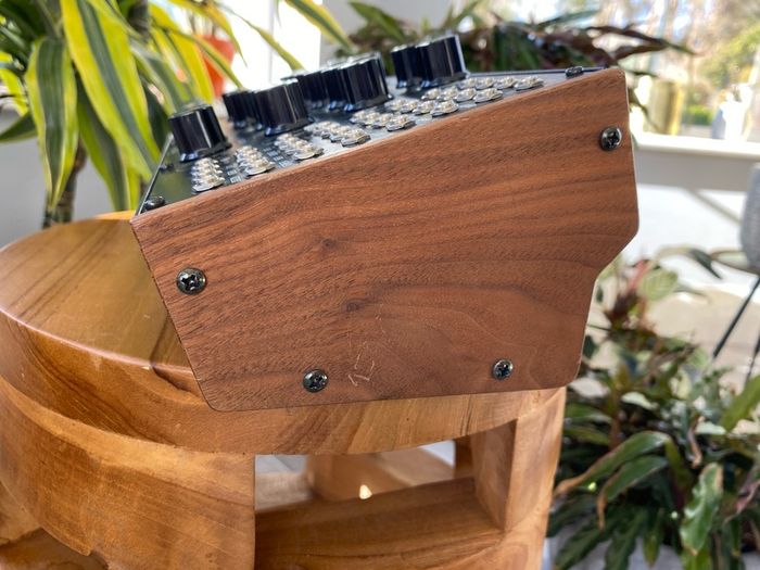 Moog Subharmonicon