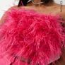 Feather top Image 2