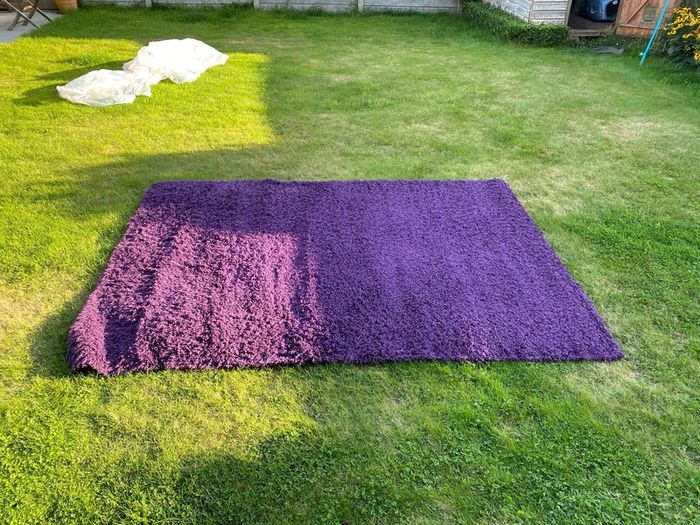Rug purple