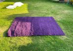 Rug purple