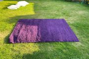 Rug purple