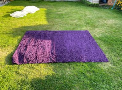 Rug purple