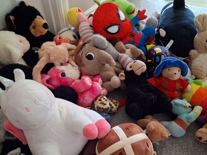 teddies