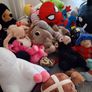 teddies Image 3