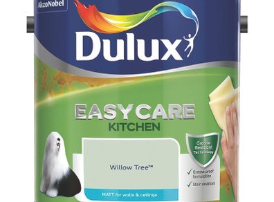 Dulux Paint
