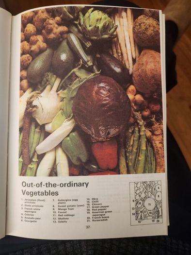 The Dairy Book Of Home Managment. Hardback In Good Condition.